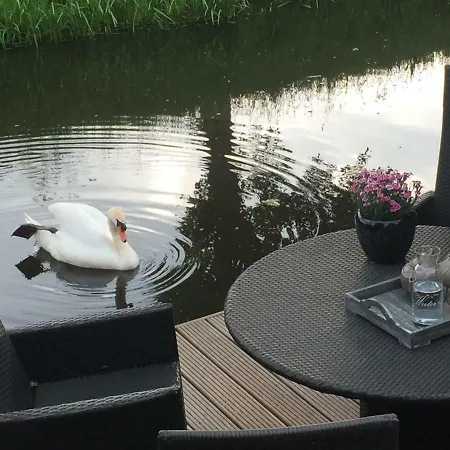 Holiday & Business Schiphol Airport Bed & Breakfast