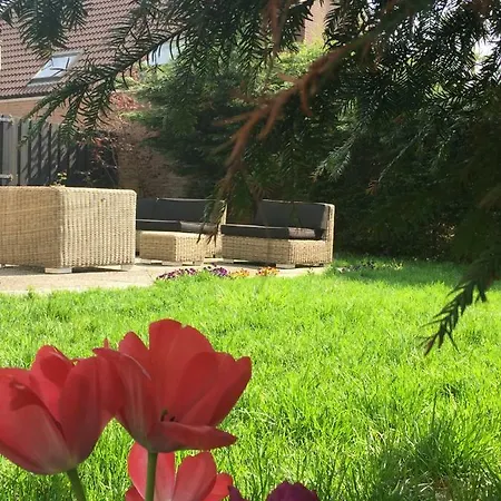 Holiday & Business Schiphol Airport Bed & Breakfast Hoofddorp