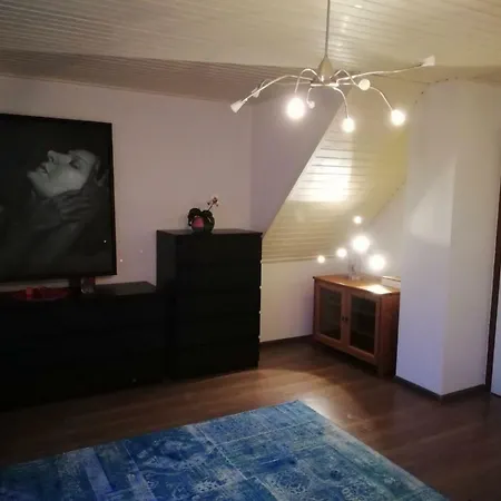 Holiday & Business Schiphol Airport Bed & Breakfast Hoofddorp