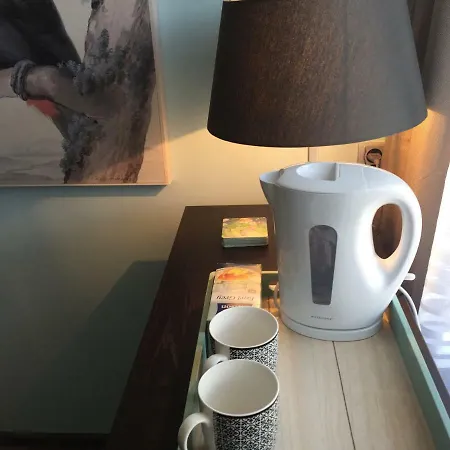 Holiday & Business Schiphol Airport Bed & Breakfast Hoofddorp
